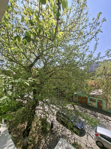 Colentina, Doamna Ghica aproape Parc Plumbuita